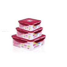 Recipiente de alimento transparente quadrado de 3PCS